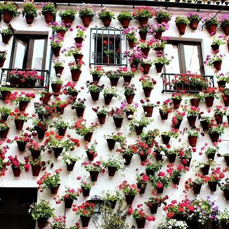 Tendillas * Cordoba